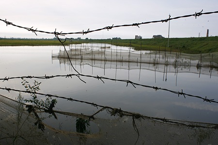 Tìm lại những triền đê Hà Nội - 4 Tìm lại những triền đê Hà Nội - 4