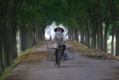 Tìm lại những triền đê Hà Nội - 5 Tìm lại những triền đê Hà Nội - 5