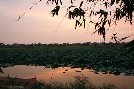 Tìm lại những triền đê Hà Nội - 10 Tìm lại những triền đê Hà Nội - 10
