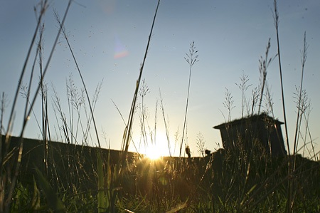 Tìm lại những triền đê Hà Nội - 11 Tìm lại những triền đê Hà Nội - 11