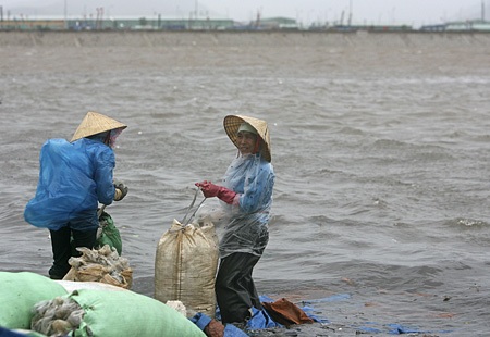 Trước giờ bão “cập bến” - 10 Trước giờ bão “cập bến” - 10