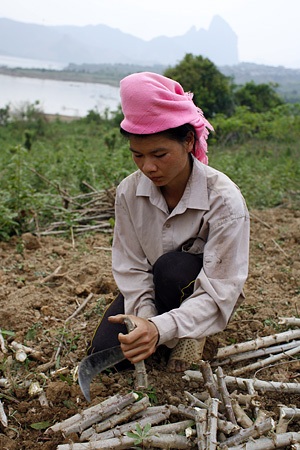 Âu lo vùng đất “lạ” - 6 Âu lo vùng đất “lạ” - 6