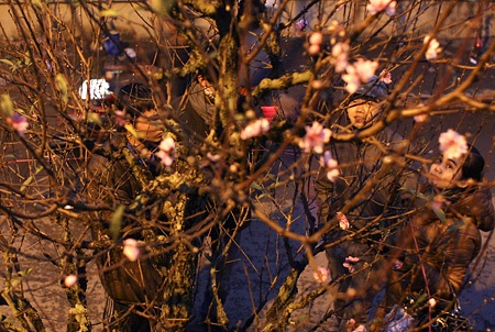 Đào về “thay áo” chợ Quảng An - 10