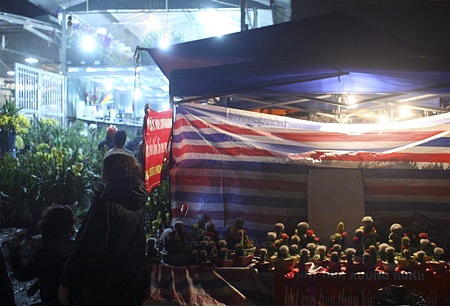 Đào về “thay áo” chợ Quảng An - 11