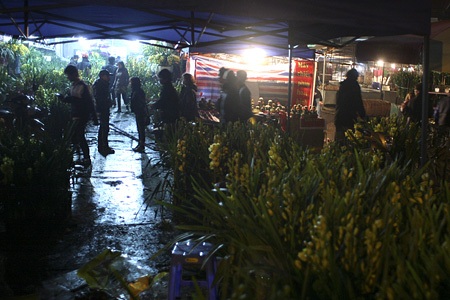 Đào về “thay áo” chợ Quảng An - 12