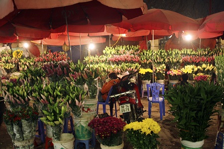 Đào về “thay áo” chợ Quảng An - 14