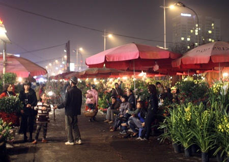 Đào về “thay áo” chợ Quảng An - 9