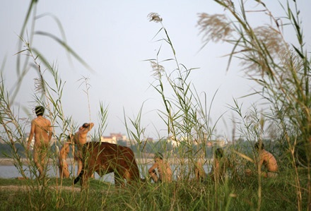 “Vườn địa đàng” từ phù sa sông Mẹ - 13 “Vườn địa đàng” từ phù sa sông Mẹ - 13