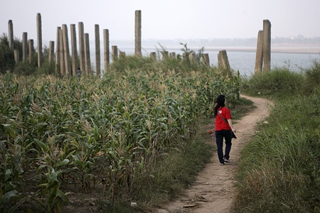 “Vườn địa đàng” từ phù sa sông Mẹ - 2 “Vườn địa đàng” từ phù sa sông Mẹ - 2