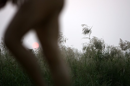 “Vườn địa đàng” từ phù sa sông Mẹ - 4 “Vườn địa đàng” từ phù sa sông Mẹ - 4