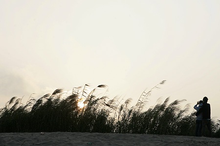 “Vườn địa đàng” từ phù sa sông Mẹ - 7 “Vườn địa đàng” từ phù sa sông Mẹ - 7