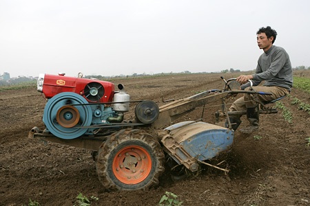 “Vườn địa đàng” từ phù sa sông Mẹ - 9 “Vườn địa đàng” từ phù sa sông Mẹ - 9