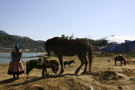 Chợ trong chợ ở Bắc Hà