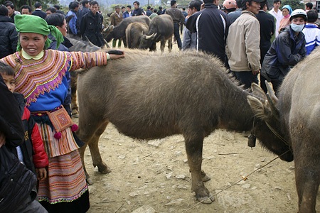 Chợ trong chợ ở Bắc Hà