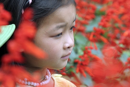 Trở về rừng Đại tướng - 12 Trở về rừng Đại tướng