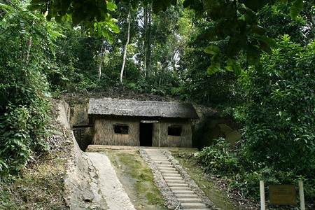 Trở về rừng Đại tướng - 5 Trở về rừng Đại tướng