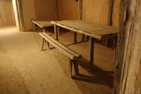 Trở về rừng Đại tướng - 7 Trở về rừng Đại tướng