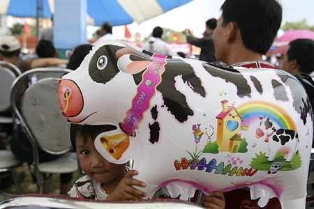 Em bé và quả bóng mang hình con bò sữa đang xem cuộc thi.