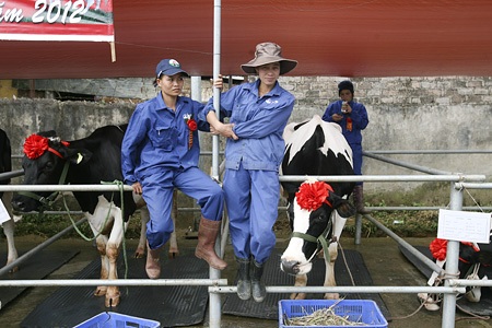 Những người chăn nuôi giỏi mới là mục đích tôn vinh của cuộc thi.