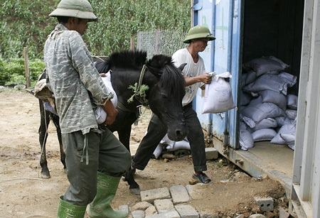 Một ngày chỉ chở được một chuyến, lượt vào chở hàng nhu yếu phẩm, lúc xuống núi chở quặng.