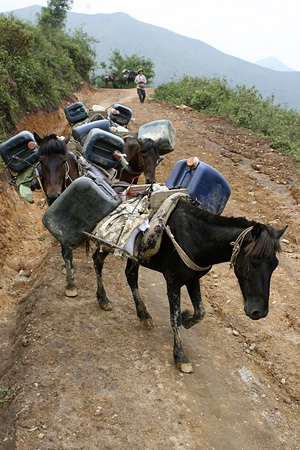 Những chuyến hàng diễn ra đều đặn, khoảng 15 chuyến/tháng.