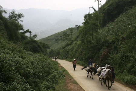 Một đoàn thồ hàng sắp về nơi tập kết. Người và ngựa vừa chở quặng ra từ dãy núi mờ xa phía sau.