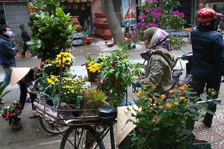 Du xuân chợ phiên giữa Hà Nội - 10