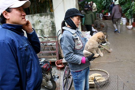 Du xuân chợ phiên giữa Hà Nội - 11