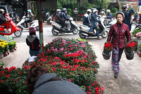 Du xuân chợ phiên giữa Hà Nội - 13