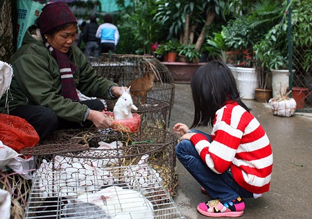 Du xuân chợ phiên giữa Hà Nội - 15