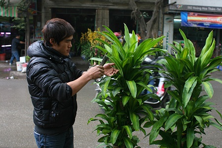 Du xuân chợ phiên giữa Hà Nội - 1