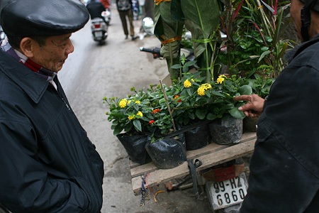 Du xuân chợ phiên giữa Hà Nội - 3