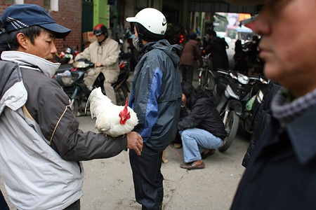 Du xuân chợ phiên giữa Hà Nội - 7