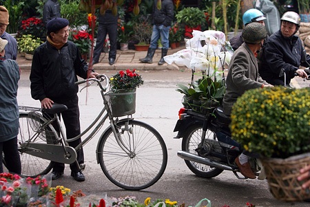 Du xuân chợ phiên giữa Hà Nội - 8