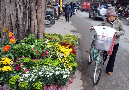 Du xuân chợ phiên giữa Hà Nội - 9