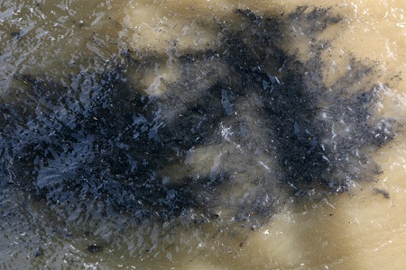 Những đám tro đen đặc loang trên dòng nước sông Hồng ngày ông Táo về chầu trời.