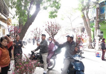 Những cành đào như thế này được bán với giá khoảng 1 trăm nghìn.