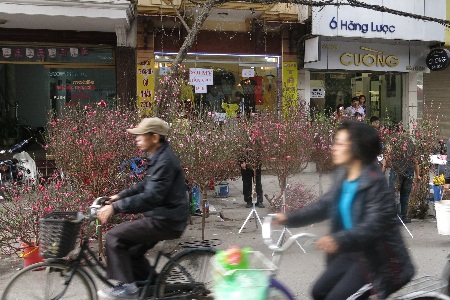 Một quầy bán phong bao lì xì màu sắc rực rỡ.
