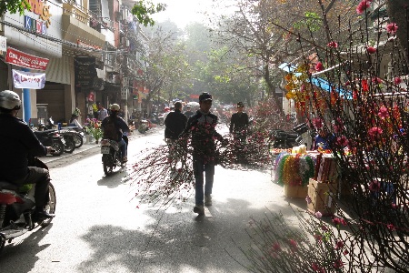 Khoảng 8 giờ sáng, những người bán hoa vội vã vận chuyển đào ra chợ bán.