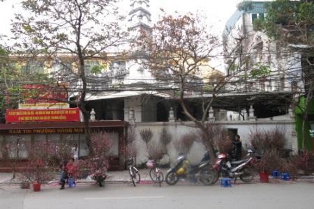 Những cành đào nhỏ rất thu hút những người chơi hoa sớm.