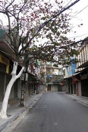 Hà Nội phố không người - 5 Phố Hà Trung.