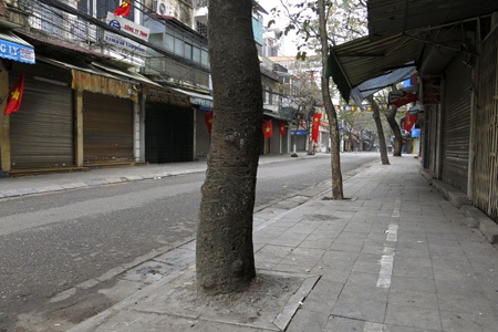 Hà Nội phố không người - 8 Phố Thuốc Bắc.
