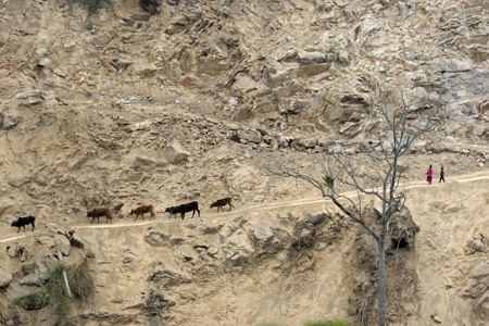 Lều tranh vách nứa nâng con chữ - 1 Con đường độc đạo cắt ngang vách núi xuyên vào điểm trường Mường Lý.
