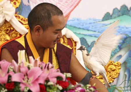 Hình ảnh Đức Nhiếp Chính vương Gyalwa Dokhampa ở Việt Nam - 11 Đây là buổi lễ cầu siêu cho các anh hùng liệt sĩ và nạn nhân thiên tai thảm họa.