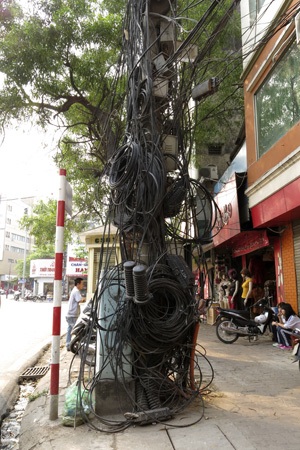 Rối ren trời Hà Nội - 9 Những cây đa cây đề trên phố.