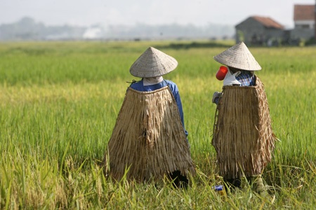 Nắng nóng vắt kiệt mồ hôi người trồng lúa - 8 Bộ cánh chống mưa nắng và ca nước lọc là những công cụ chống nóng trong thời tiết khắc nghiệt.