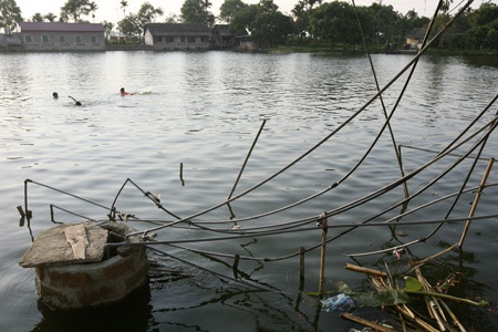 Ăn nước ao cạnh đường ống nước Sông Đà - 3 Những búi ống nước này dẫn xa nhất có thể lên đến 1km.
