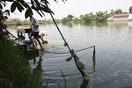 Ăn nước ao cạnh đường ống nước Sông Đà - 4 Những búi ống nước này dẫn xa nhất có thể lên đến 1km.