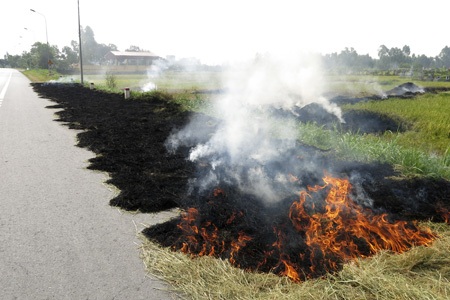 Các đống rơm rạ được phơi khô đầy đường rồi đem đốt ngay vệ đường.