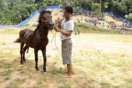 “Kịch tính” chọi ngựa Hà Giang - 7 Các nài ngựa đang thể hiện tình cảm.